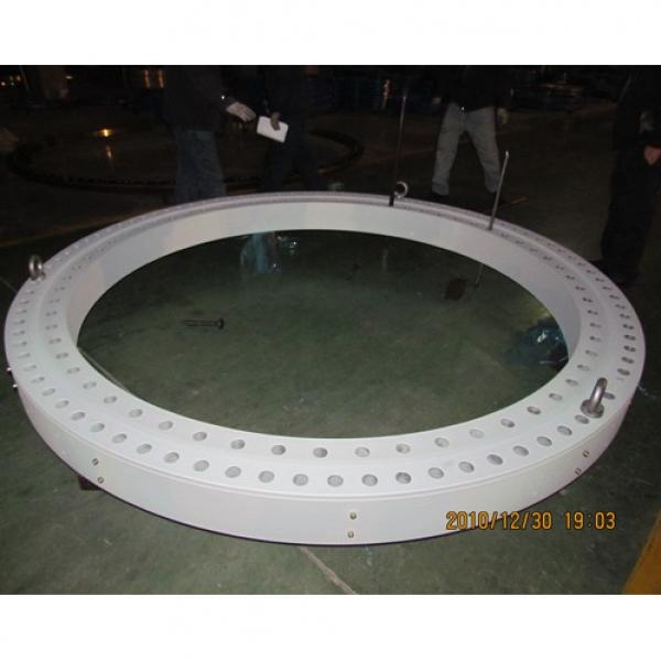 121.32.4250.990.41.1502rotary Table Swing Circle Crane Slewing Bearing #1 image